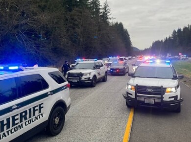 Alleged carjacker refused to stop at B.C.-U.S. border, leading to interstate highway chase: police